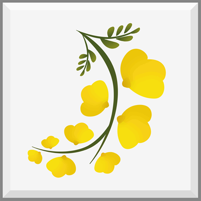 Logo restaurante Acácia Cozinha de Família