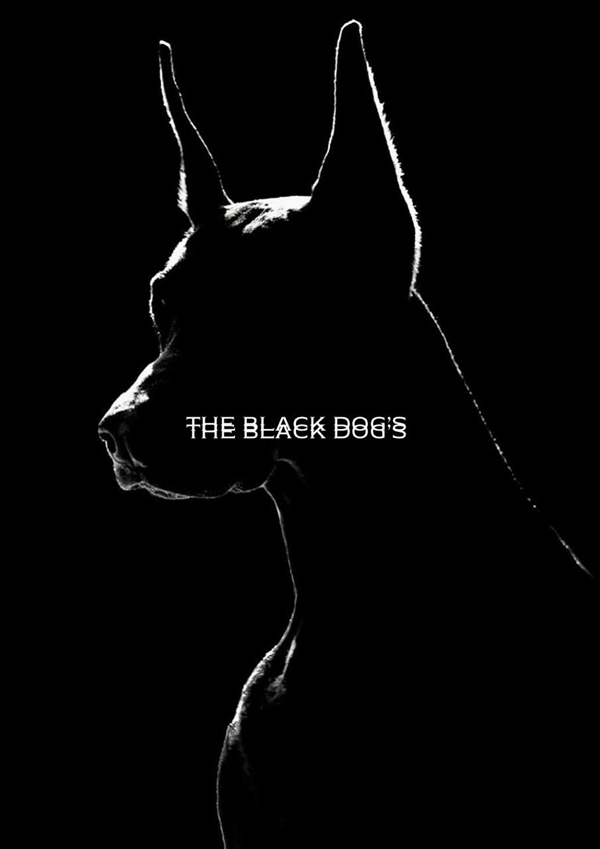 Logo restaurante Black Dog Distribuidora